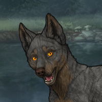 Maresh Female Pup Headshot