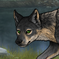 Tegan Headshot