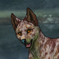 100SC Dravite female pup Headshot