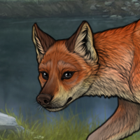 rnc fox Headshot