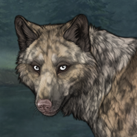 Patchpelt Headshot