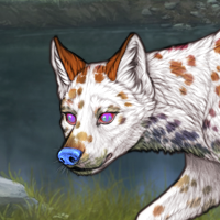 T2 Pie Dalmatian Headshot