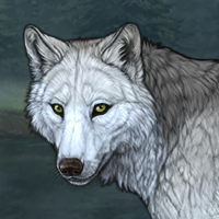 Wolf Headshot