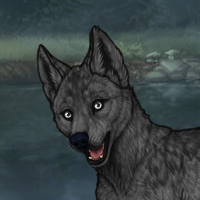 F| Gray Darker Puppy Headshot