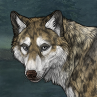 Nettle Headshot