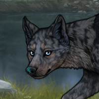 G3 wmerle  Blueschist Headshot