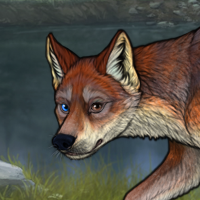 T3 fox male Headshot