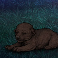 New Puppy Headshot