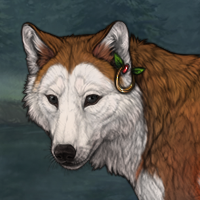 Copperpelt Headshot