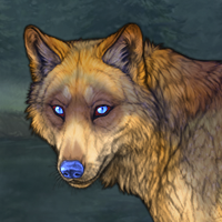 Coldpaw Headshot