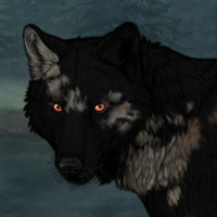 Skoll Headshot