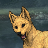 Enclave Puppy Headshot