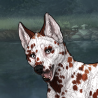 Dalmatian Realgar Headshot