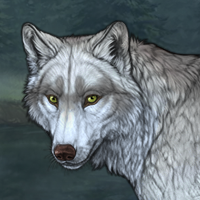 Wolf Headshot