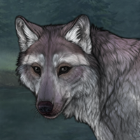 Baron Headshot