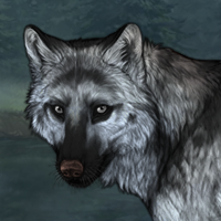 Wolf Headshot