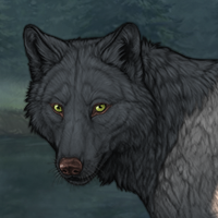 Wolf Headshot