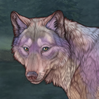 MoonMoon Headshot