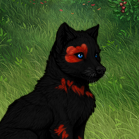 Nightpup Headshot