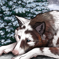Wolf Headshot