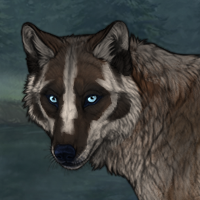 Willowfang Headshot