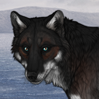 ⩯⩕ Scoliodon ➢❦ Headshot