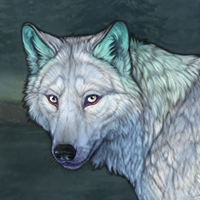 Arctic Winterwolf Headshot