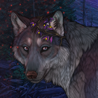 Wolf Headshot
