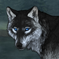 Wolf Headshot