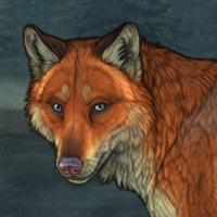 fox t3 Headshot