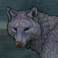 Purple Wolf Headshot