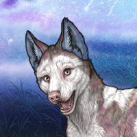 Piebald: Frontal Headshot