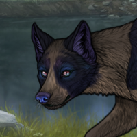 Moonloss pup Headshot