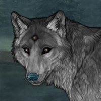 WinterShadow (S3) Headshot