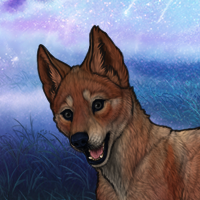 chase Headshot