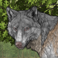 Aspen Headshot