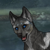 Enclave Puppy Headshot