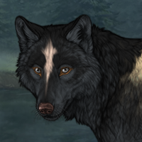 Wolf Headshot