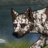 Aspen, IndigoE, 7xMerle,F Headshot