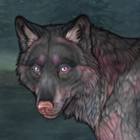 Raise chase Headshot