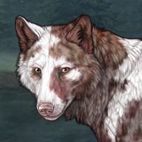 Piebald Uneven: Posted Headshot