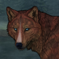 Cedarpelt Headshot