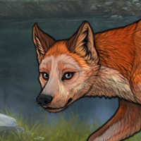 t3 fox Headshot