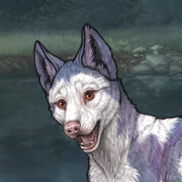 Piebald: Frontal Headshot