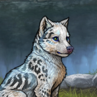 Glass White Merle Keep? Headshot