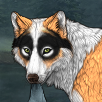 Wolf Headshot