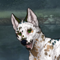 Piebald: Dalmatian,922,IB Headshot