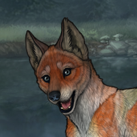 G4 Fox 8M SB Headshot