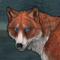 Copper Headshot