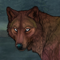 AlderBark Headshot